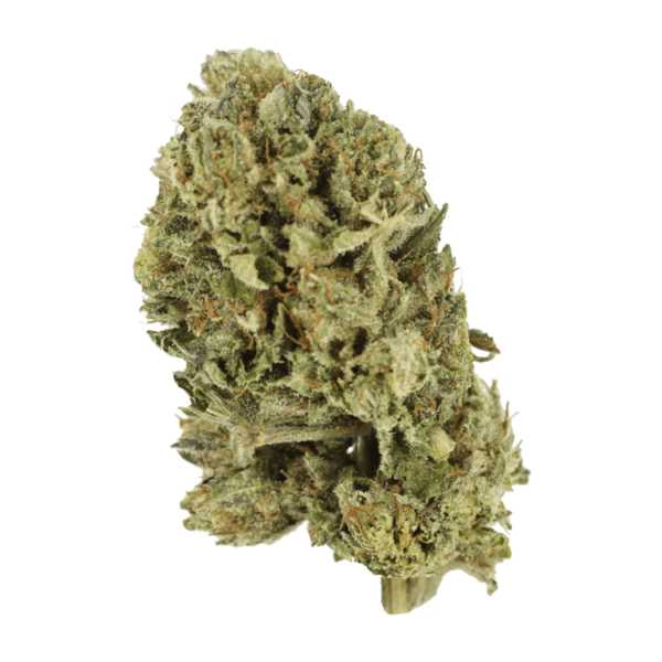 Purple OG Kush – 1 ounce | MMJ Express Canada