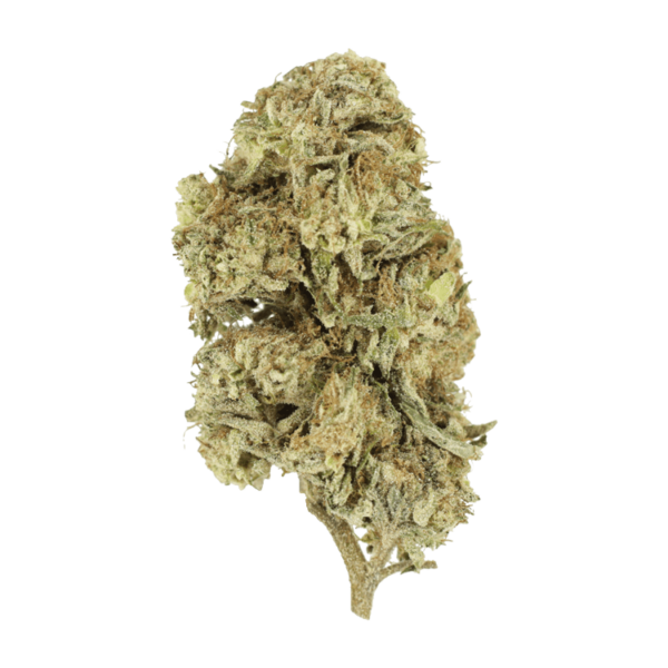 Cherry Wine (CBD) | MMJ Express Canada