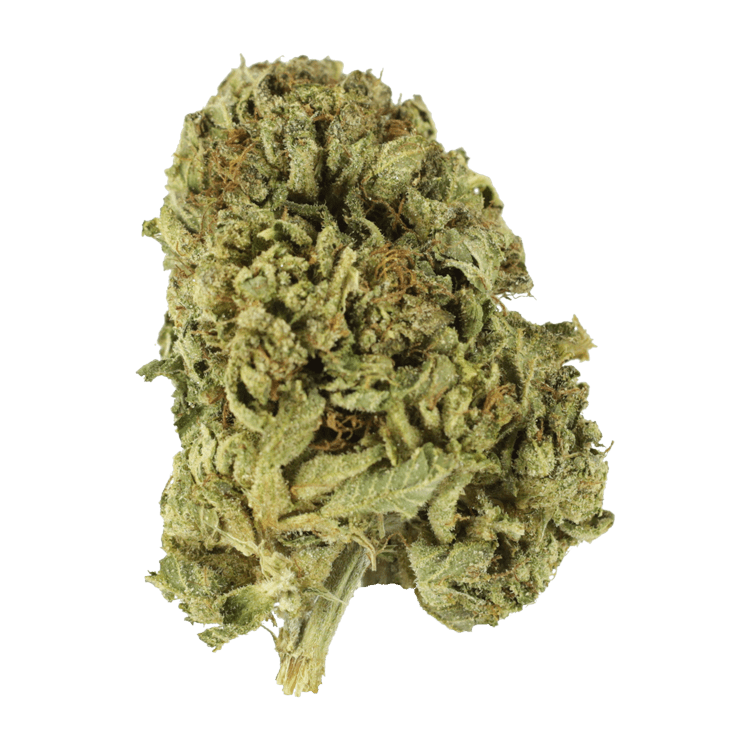 Strawberry Romulan | MMJ Express Canada Strawberry Romulan | MMJ Express Canada