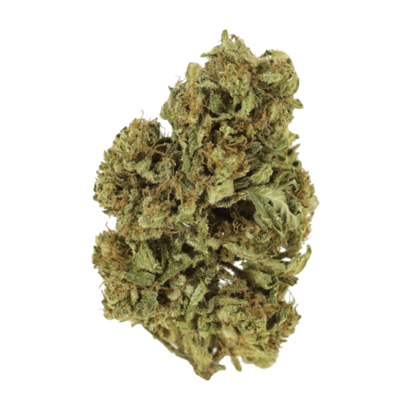 Cherry Wine (CBD) | MMJ Express Canada