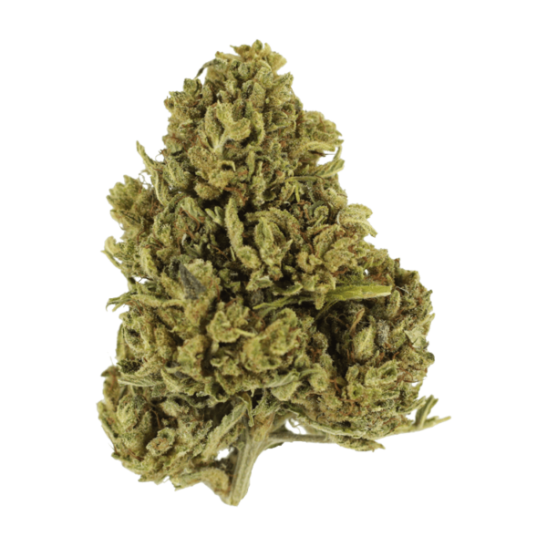 Cherry Wine (CBD) | MMJ Express Canada