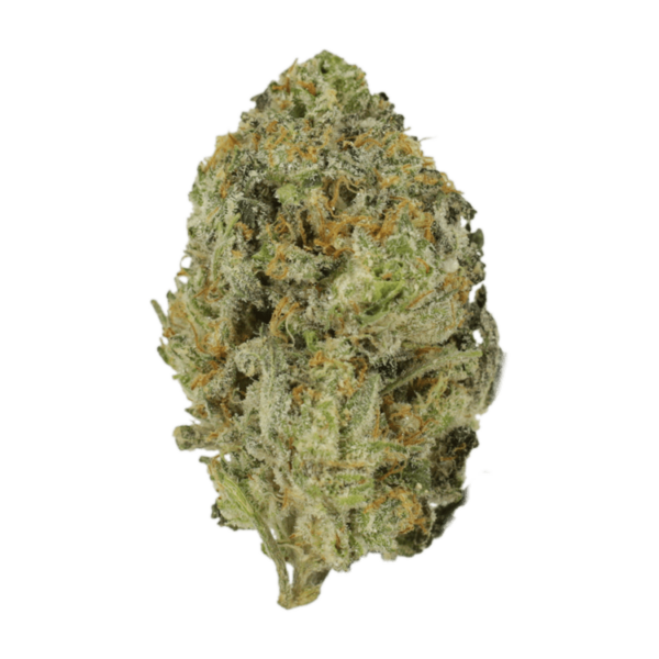 Skywalker OG | MMJ Express Canada