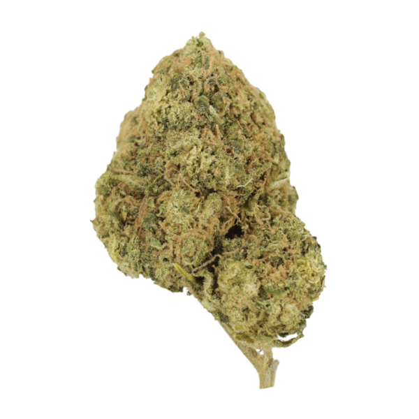 Mr Clean | MMJ Express Canada