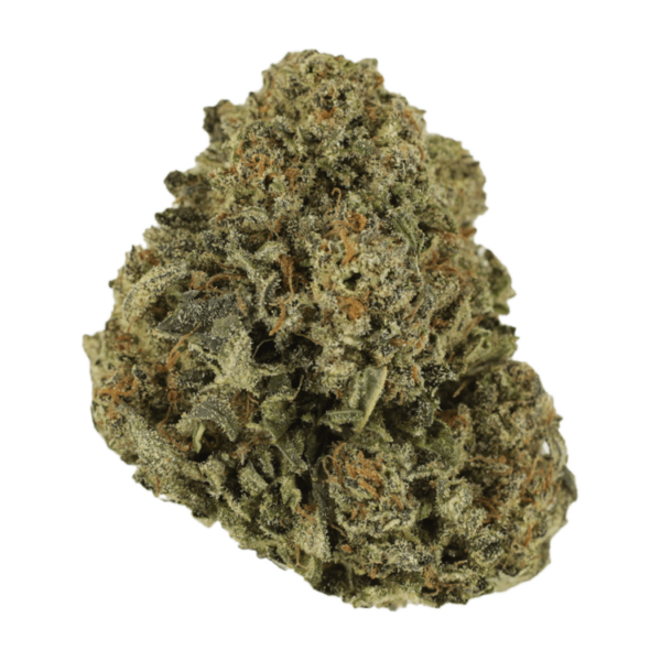 Blue Haze | MMJ Express Canada
