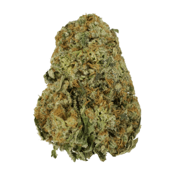 High School Sweetheart | MMJ Express Canada