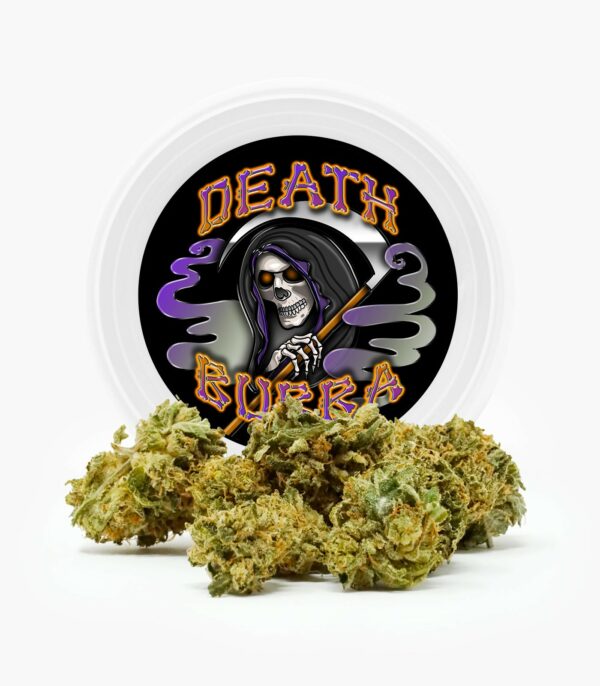 Westcoast Cali Tins – Premium Flower – Skywalker OG – 3.5g | MMJ Express Canada
