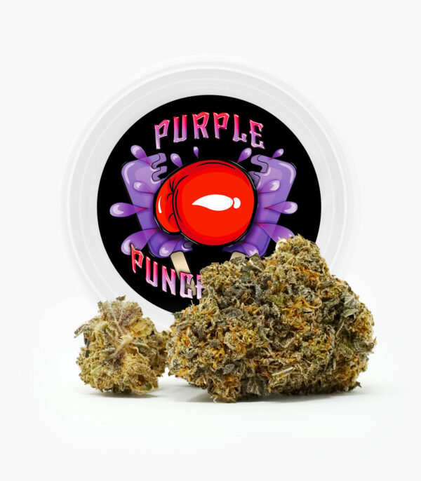 Westcoast Cali Tins – Premium Flower – Purple Punchsicle – 14g | MMJ Express Canada
