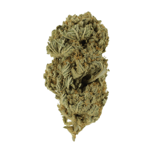  | MMJ Express Canada