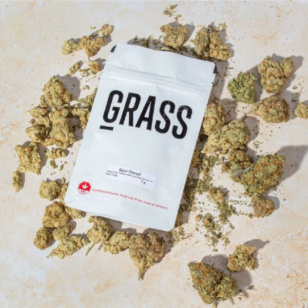 1/2OZ Sample Pack (AAA) – SAVE 20% | MMJ Express Canada