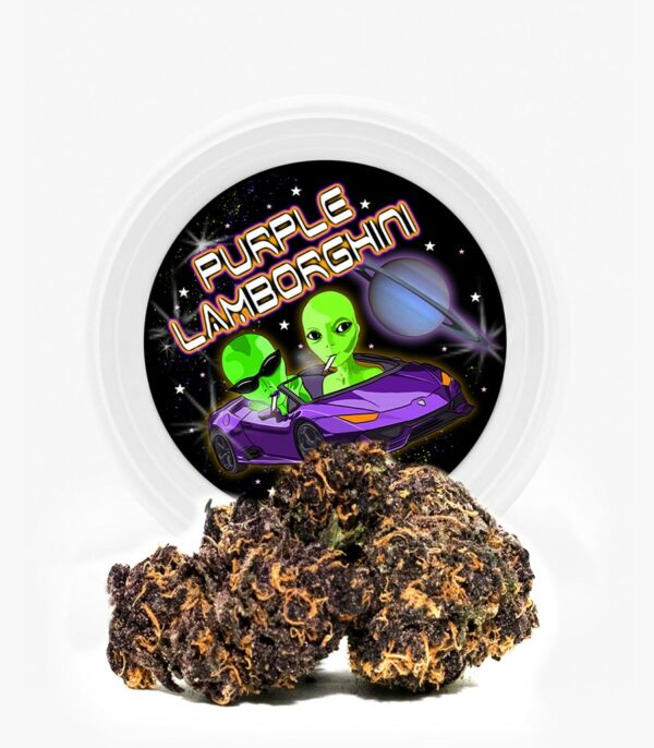Westcoast Cali Tins – Premium Flower – Purple Lamborghini – 3.5g | MMJ Express Canada