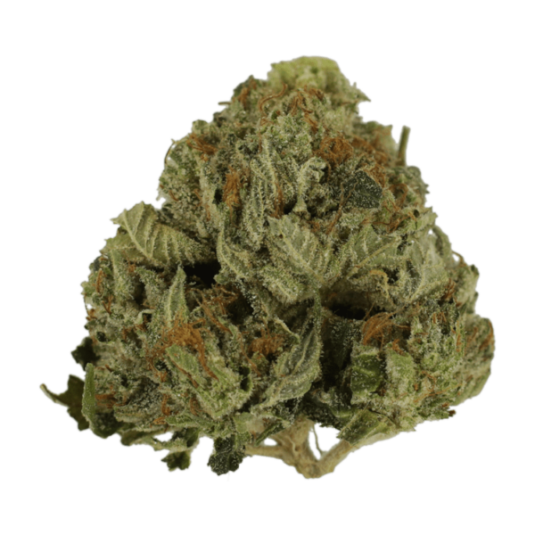 Pink Animal – 1 ounce | MMJ Express Canada