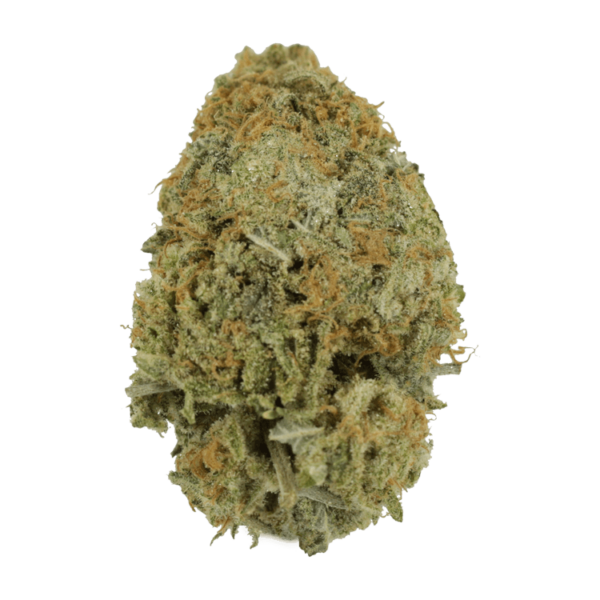 Pink Tuna (Popcorn) – $40/oz | MMJ Express Canada