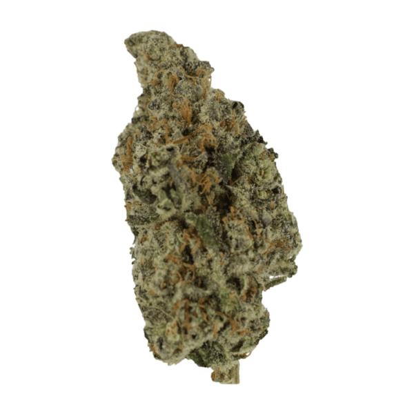 Biscotti Sundae | MMJ Express Canada