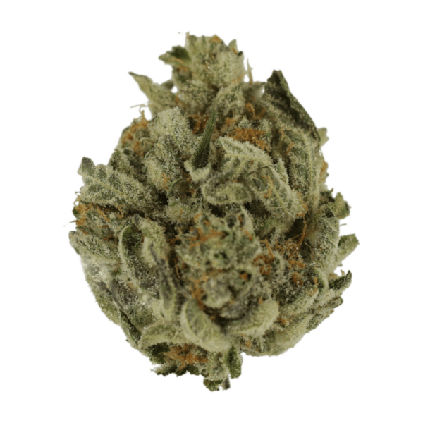 Biscotti Sundae | MMJ Express Canada