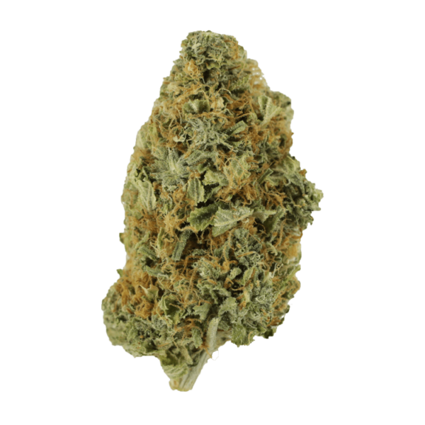 Purple Tuna – 1 ounce | MMJ Express Canada