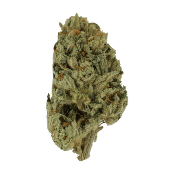 Biscotti Sundae | MMJ Express Canada