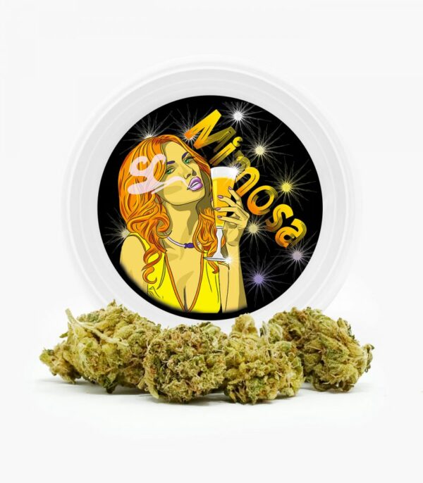 Westcoast Cali Tins – Premium Flower – Mimosa – 3.5g | MMJ Express Canada