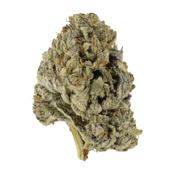 Sugar Pine | MMJ Express Canada