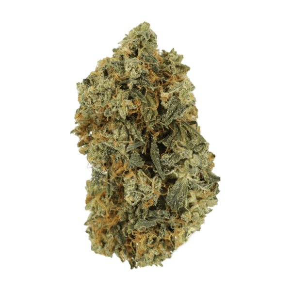 Blackwater | MMJ Express Canada