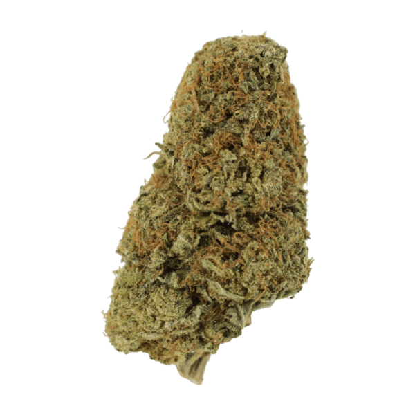 Sugar Pine | MMJ Express Canada