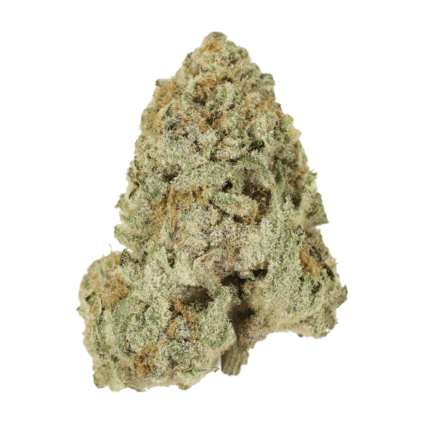 Dank Schrader | MMJ Express Canada