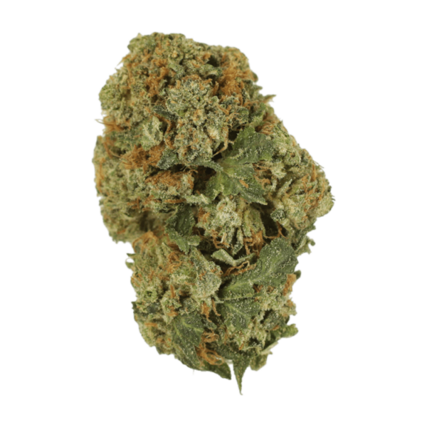 Dank Schrader | MMJ Express Canada
