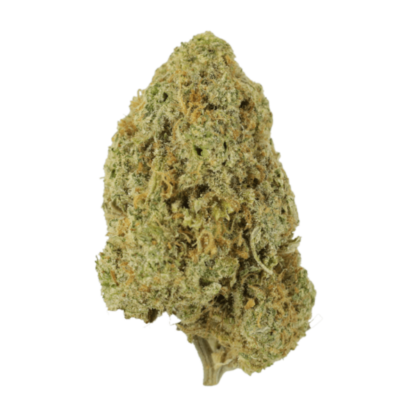 Sugar Pine | MMJ Express Canada