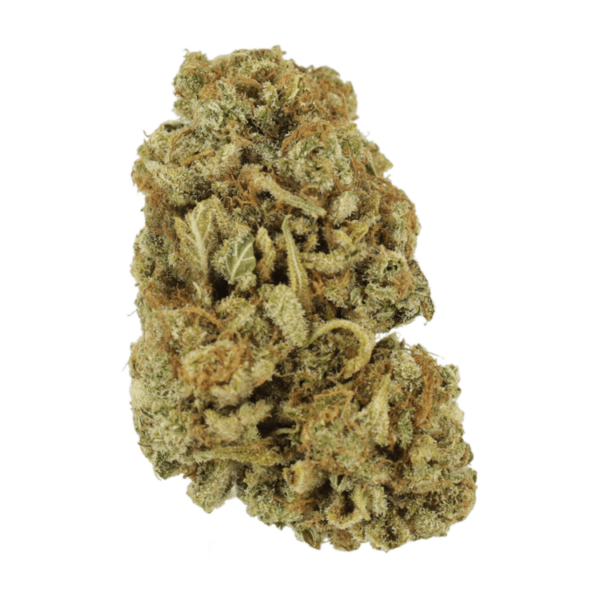 Blackwater | MMJ Express Canada