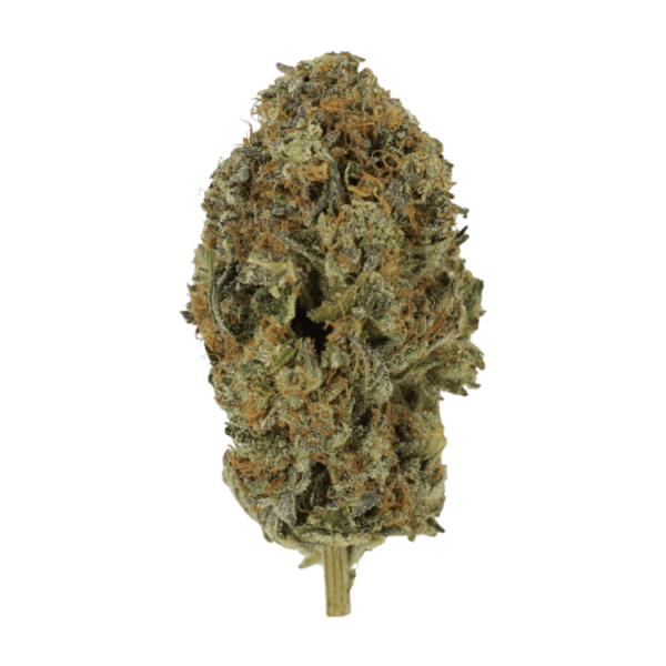 Acapulco Gold | MMJ Express Canada