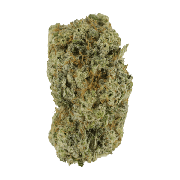Eleven Roses | MMJ Express Canada