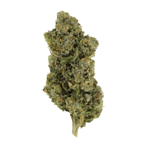 Jokerz | MMJ Express Canada