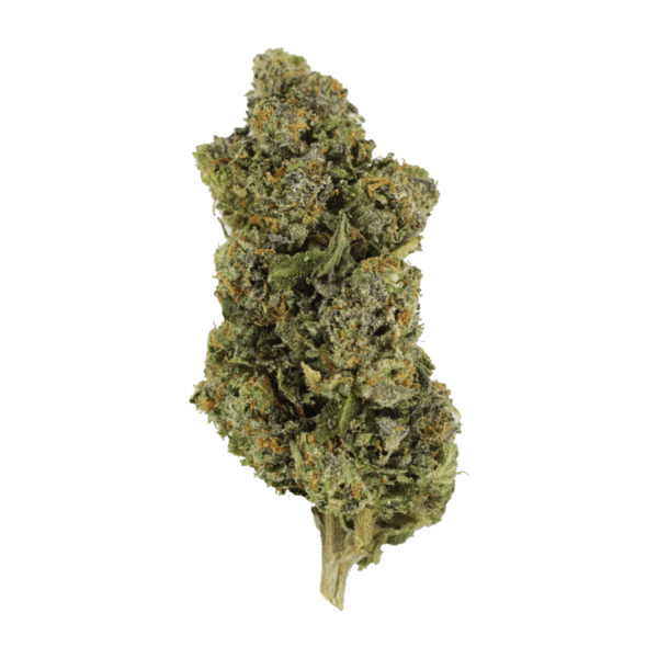 Jokerz | MMJ Express Canada