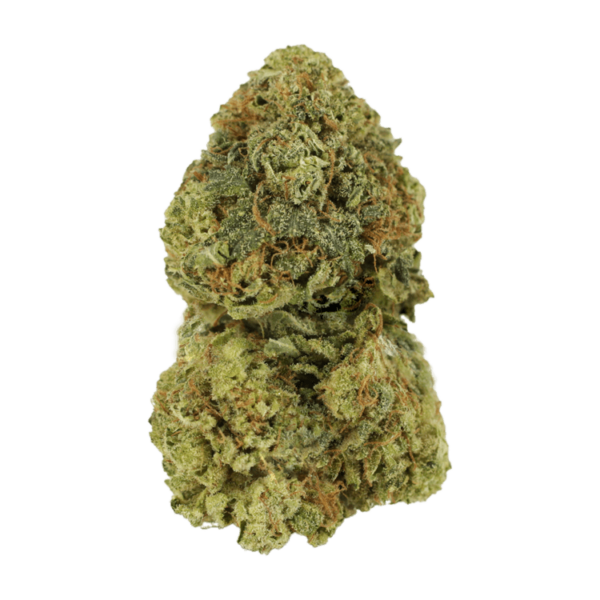 Critical Mass | MMJ Express Canada