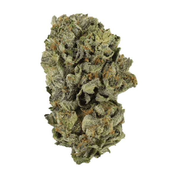 Cerebro Haze | MMJ Express Canada