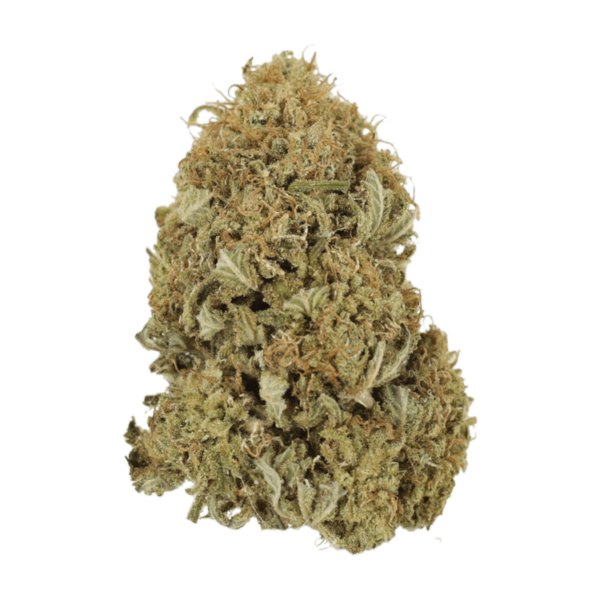 G13 | MMJ Express Canada