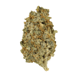 Mint Cookies | MMJ Express Canada