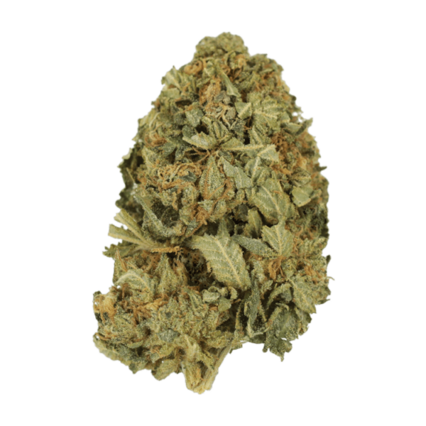 G13 | MMJ Express Canada