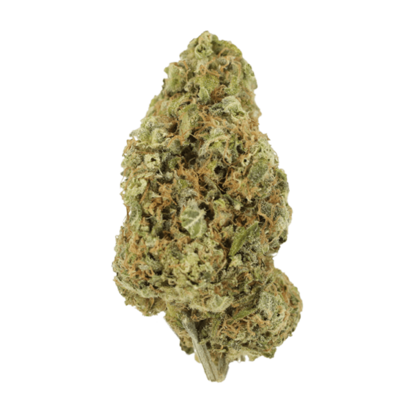 Sour Jack | MMJ Express Canada