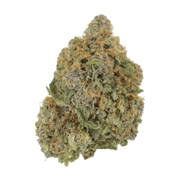 Jagermeister | MMJ Express Canada