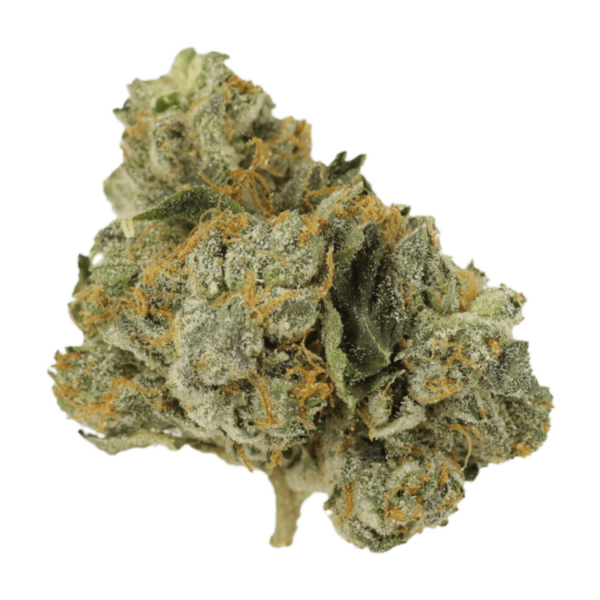 Mango Cream | MMJ Express Canada