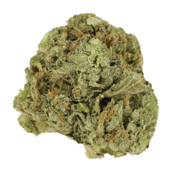 Mango Cream | MMJ Express Canada
