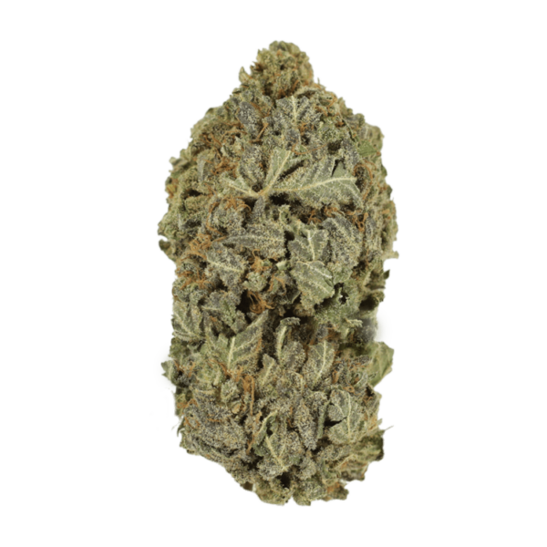 Purple Dream | MMJ Express Canada