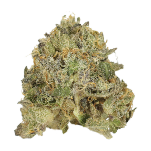 Vanilla Kush | MMJ Express Canada