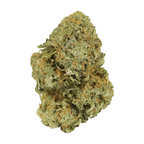 Watermelon Gelato | MMJ Express Canada