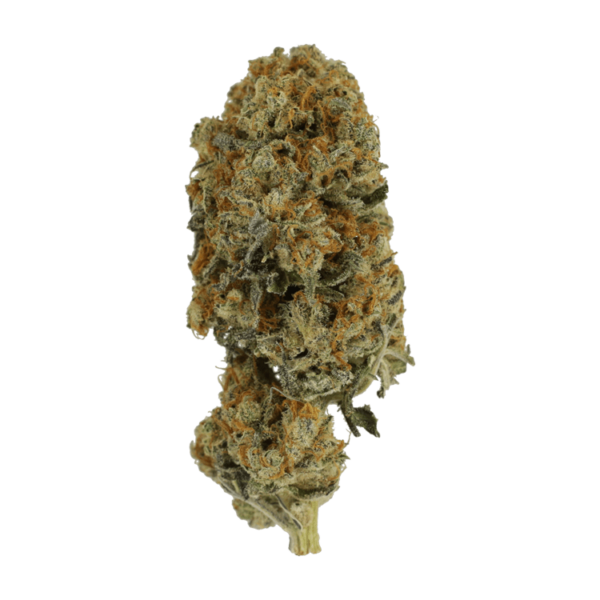 Jacks Girl | MMJ Express Canada