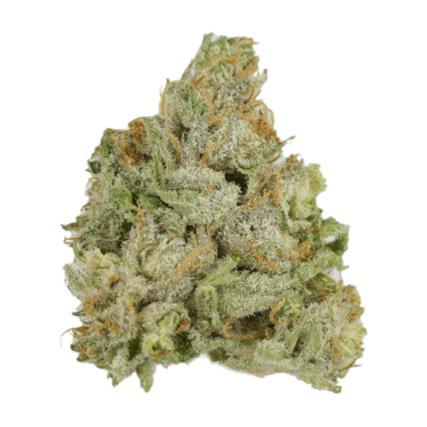 El Jefe | MMJ Express Canada