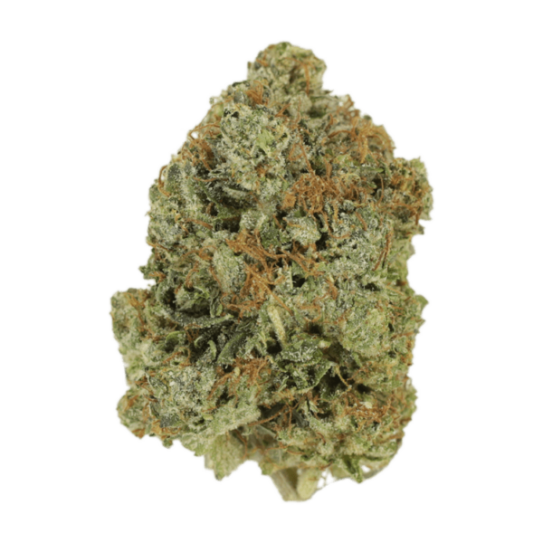 Jack Herer (popcorn) | MMJ Express Canada