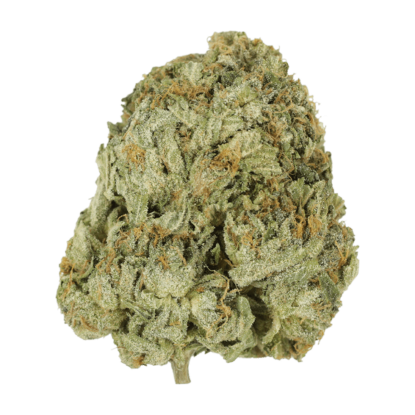 Godzilla Glue | MMJ Express Canada