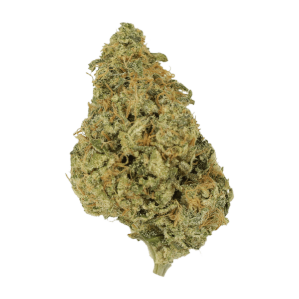 OG Lemon Haze | MMJ Express Canada