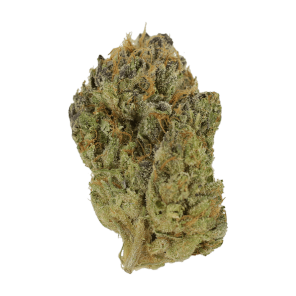 Blueberry Muffin | MMJ Express Canada